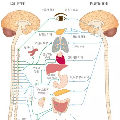 고양시 대표