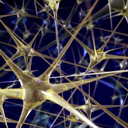 Image pertaining to NEURAL FRAMEWORK