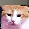 Hui H