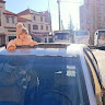 nostra sohaib