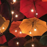 MANISHA BARTWAL profile photo on Socialveins portofolio