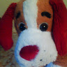 Nerf pup's profile image