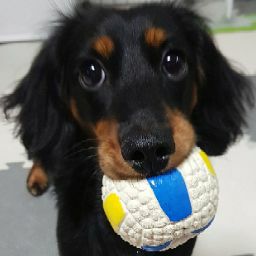 준법감시_alex.kim