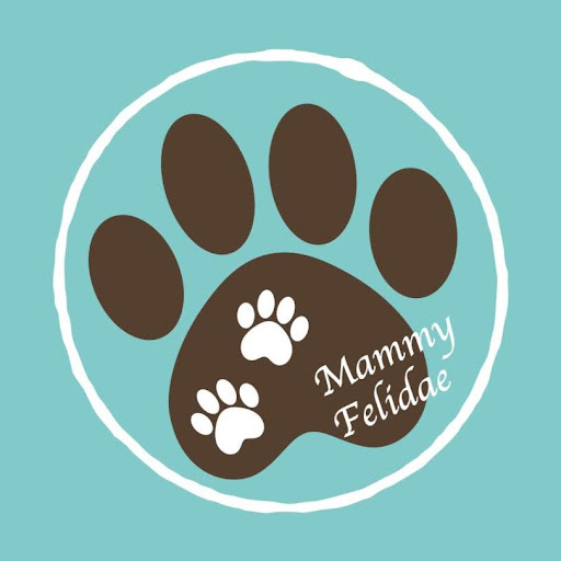 貓科馬麻的叢林育兒錄的沙龍