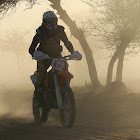 Bruger: Graham Ellison