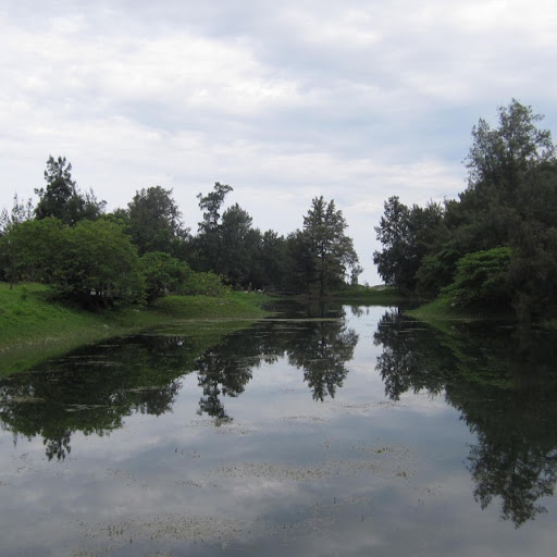 Chiang Sandy
