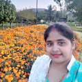 Rashmi Nayak profile pic