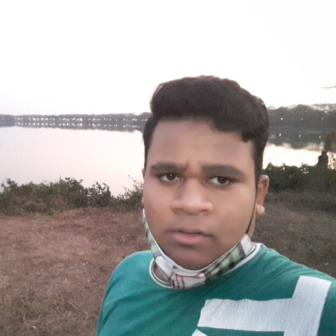 Narayan Gawas