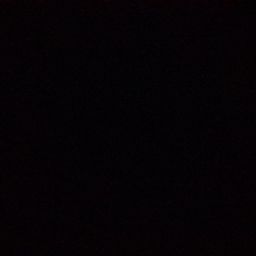 Habitual Pentaceratops