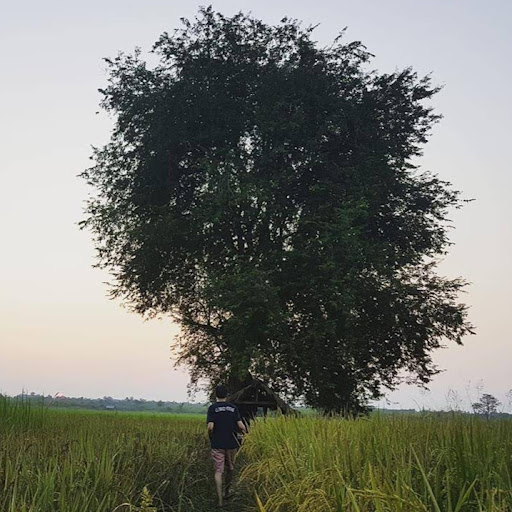Sirimoungkhoun Phongrassy