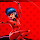 Miraculous ladybug