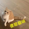 an Y