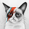 Art finance's avatar