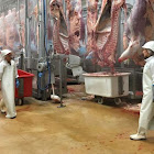 Bruger: Inspecteur Vétérinaire