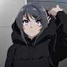 3 3 0