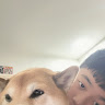 蔡宏澤