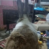 無名 3