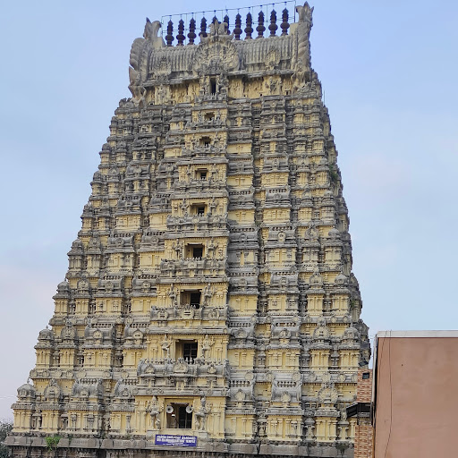 Dr Suresh Arumugam