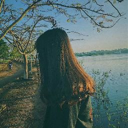 Mèo Zii Cover •-•