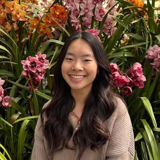 Vanessa Hu's avatar