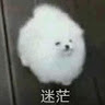 李庭甄