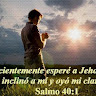 Foto del escritor: jorvis uzcategui colmenares