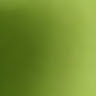 Foto Profil