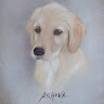 Ashuna's Dog Company GmbH