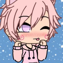Kota uwu