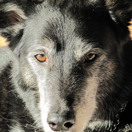 Mario Wohler's avatar