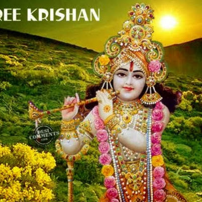 harendra dhakar profile pic