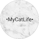 •MyCatLife• profiel foto