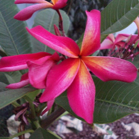 Created by
