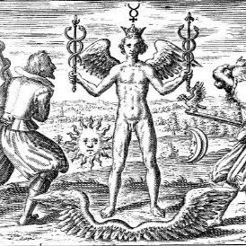 Avatar de Daniel Zarka