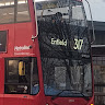 Writer: Alesha Henry loves buses