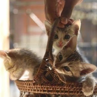 Thana Shree Jeevanandam