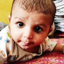 Niom KrisHarsh profile pic