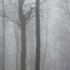 Kullanıcı: K2ng der reale twitch