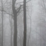 K2ng der reale twitch