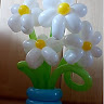 Created by
