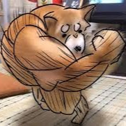 霜木