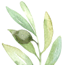 כרם