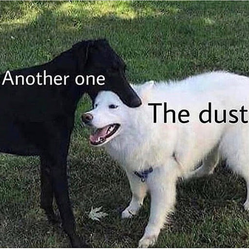 Guy