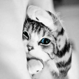 Tuti Muniroh profile icon