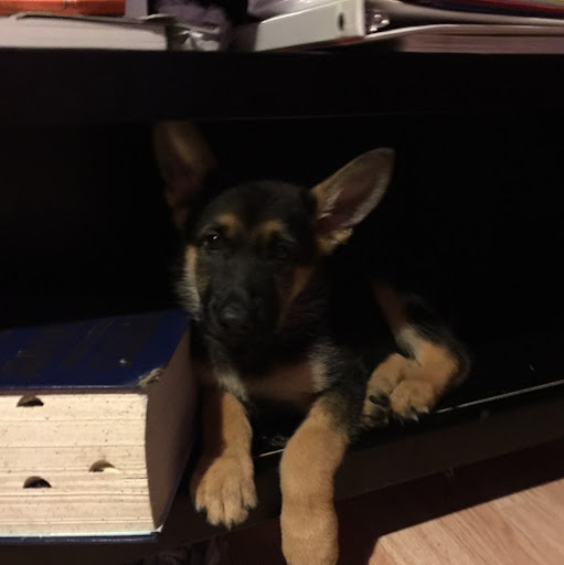 author