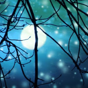 Amy Schlabach's avatar