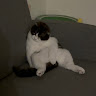 丞恩