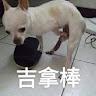 30魏宸民