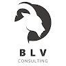 blvconsultinggrp