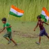 Image pertaining to ADHARA PANAMAS PATRIOT